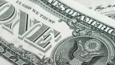 Revisa día a día el tipo de cambio de las divisas.