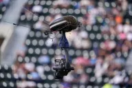 Abejas invadieron partido de Alcaraz contra Zverev