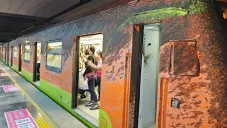 El tren se detuvo por unos minutos luego de quedar todo sucio.