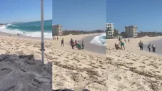 El mar le dio una buena revolcada a los paseantes.