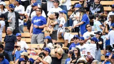 Aficionados asistieron al partido de Los Angeles Dodgers con sus perros