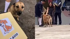 Foto Captura de pantalla