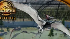 Hasta el momento se desconoce cómo pudieron sacar el ejemplar sin que nadie se diera cuenta.