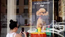 Dolce &amp; Gabbana lanza perfume para perros