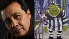 Su trabajo dentro de películas y series ha sido reconocido en varios países.