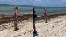 El video se volvió viral en redes sociales.