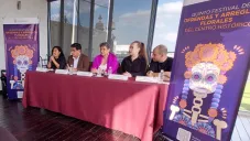 La convocatoria está abierta para todos aquellos que quieran participar.