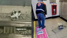El gatito fue rescatado de las vías del metro