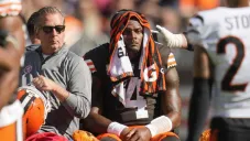 ¡Fuera toda la temporada! Dashaun Watson se rompió el tendón de Aquiles ante Cincinnati