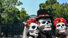 Día de muertos en Chapultepec: Programación