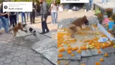 Los hechos ocurrieron en una escuela en alguna parte del país.