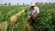 El Gobierno del Edomex apoya a campesinos a través de diferentes programas sociales