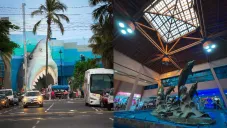 ¡Fue reabierto el acuario de Veracruz! Es el más grande de Latinoamérica y el más barato de México