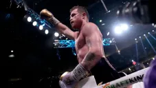 Para Dana White, Canelo dormiría a Jake Paul en 30 segundos