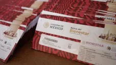 Apoyo al Desempleo para el Bienestar
