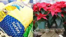 Pavos, nochebuenas y aguinaldos GRATIS en la alcaldía Gustavo A. Madero