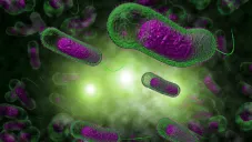 Ahora detectan casos de la bacteria Klebsiella oxytoca en Michoacán y Guanajuato