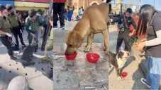 Los lomitos se pueden ver por las calles aledañas al cerro del Tepeyac.