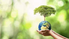 22 de diciembre, Día de la Tierra: ¿Cuándo, dónde y por qué se fundó?