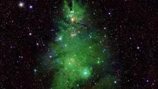 NASA muestra estrellas que forman un árbol de Navidad en el espacio