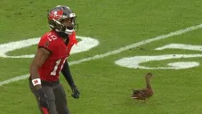 Invitado inesperado se lleva los reflectores durante el duelo entre Tampa Bay y Carolina