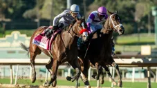 Hipódromo de Santa Anita aplaza carreras del fin de semana; pista es zona de apoyo contra incendios