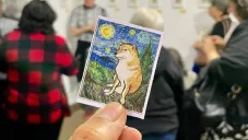 ¡Abren museo dedicado a Cheems en el Centro Histórico de la CDMX! Te contamos lo que debes saber