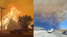 Más de 41 kilómetros cuadrados de árboles y matorrales se han visto afectados.