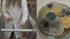 VIDEO: Usuaria de TikTok muestra los microbios en el Metro de la CDMX