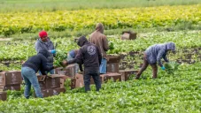 Un día sin inmigrantes: Así protestaron en Estados Unidos con comercios cerrados y trabajos abandonados