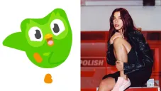 Dua Lipa lamenta muerte del búho de Duolingo: “Hasta que la muerte nos separe”