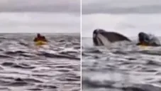 Los hechos fueron grabados por el padre de la víctima, quien al final salió ileso.