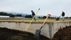 Atlante estrenaría instalaciones en el verano