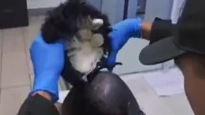 Capturan en el aeropuerto de Cartagena a un hombre con una “narcopeluca” con 400 dosis de droga