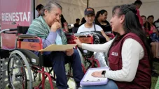 Programa Pensión para el Bienestar de las Personas con Discapacidad Permanente