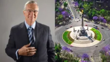 Salinas Pliego regalará 50 mil pesos a quien tome la mejor foto de las jacarandas en CDMX