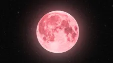 Luna Rosa 2025: Te decimos qué día de abril será este evento astronómico
