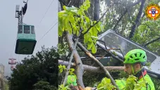 Los equipos de emergencia llegaron hasta el lugar del siniestro.