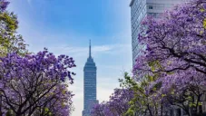 ¡Adiós Contingencias Ambientales en CDMX! Así es el plan para reducirlas