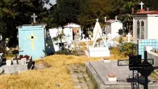 Se buscan restos humanos que podrían corresponder a personas desaparecidas.