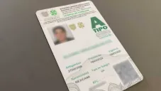 ¿Puedes perder tu licencia de conducir permanente en CDMX? Conoce las infracciones que podrían cancelarla​