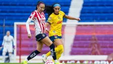 Afición ‘se ausentó’