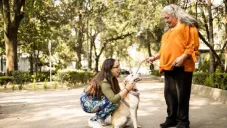 ¿Te pueden multar si tu perro muerde a alguien en CDMX? Esto dice la ley