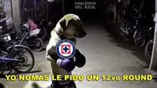 ¿Otra vez tú? Los mejores memes de la nueva serie entre Cruz Azul y América