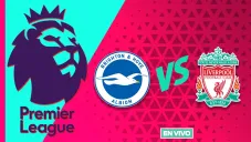 Brighton vs Liverpool EN VIVO
