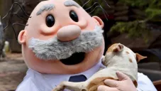 Dr. Simi Veterinario: Esto costarán las consultas para perros y gatos en el SimiPet Care