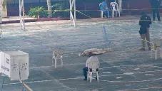 Tragedia en la Elección Judicial: Mujer muere mientras hacía fila en casilla de Veracruz