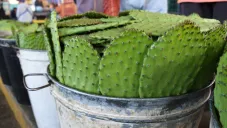 Se premiará a los tres mejores lugares.