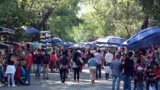 Bosque de Chapultepec quedará libre de plásticos de un solo uso y chatarra