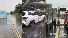 Fuerte lluvia causa caos en CDMX: calles cerradas, árboles caídos y Metro detenido